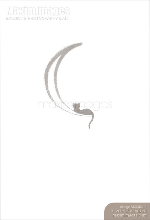 Black cat lying on the waning moon artistic illustration design gray on white Stock image of Black cat lying on the waning moon artistic illustration design gray on white Buy commercial use license at MaximImages