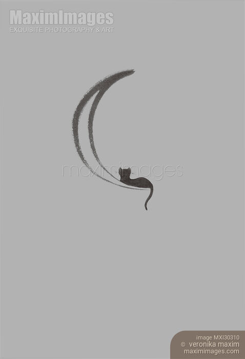 Black cat lying on the waning moon artistic illustration design on gray background Stock image of Black cat lying on the waning moon artistic illustration design on gray background Buy commercial use license at MaximImages