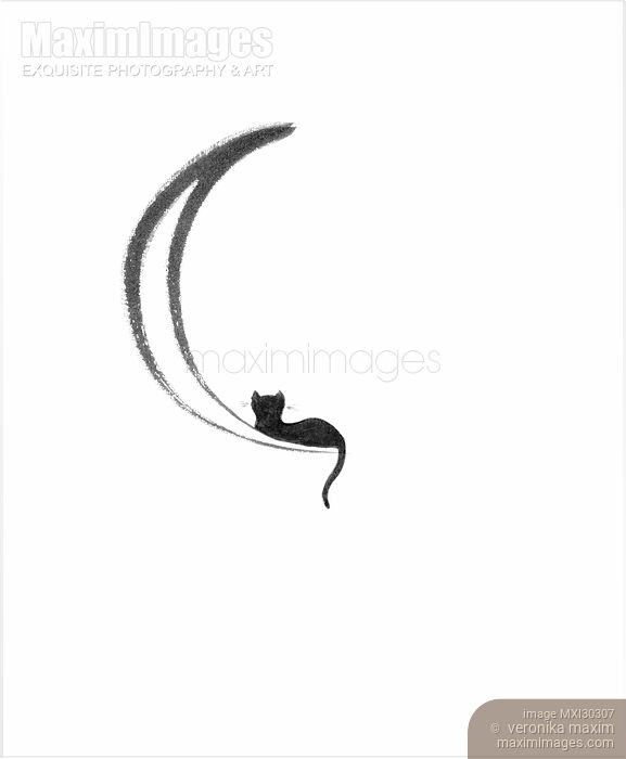 Stock image of Black cat lying on the waning moon artistic illustration design on white Buy commercial use license at MaximImages