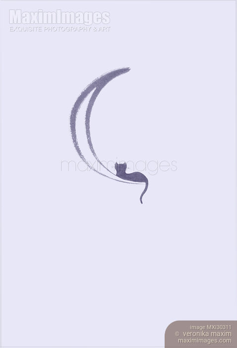 Black cat lying on the waning moon artistic illustration design on white Stock image of Black cat lying on the waning moon artistic illustration design on white Buy commercial use license at MaximImages