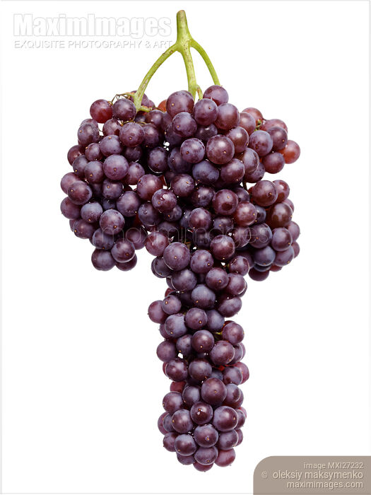 Stock photo of Black Corinth grapes cluster Buy commercial use license at MaximImages