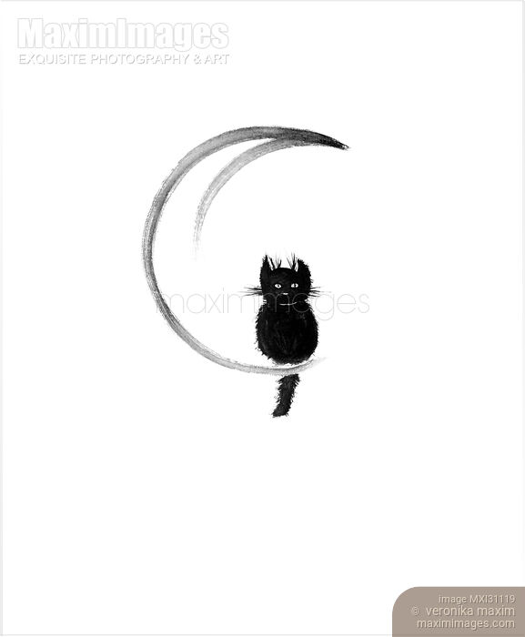 Stock image of Black fuzzy cat sitting on the crescent moon Buy commercial use license at MaximImages