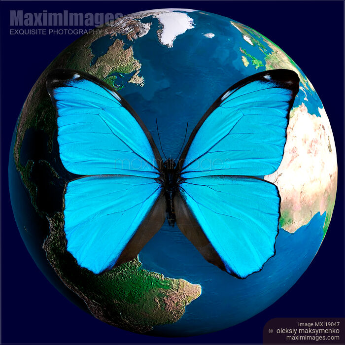 Blue butterfly and the planet Earth globe Stock image of Blue butterfly and the planet Earth globe Buy commercial use license at MaximImages