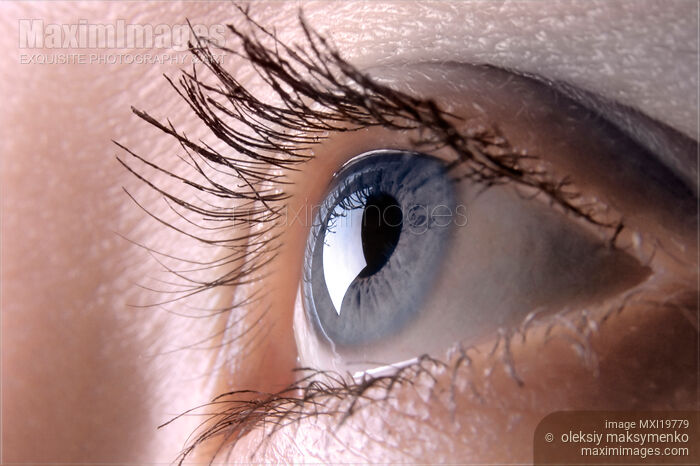 Stock photo of Blue Eye Buy commercial use license at MaximImages