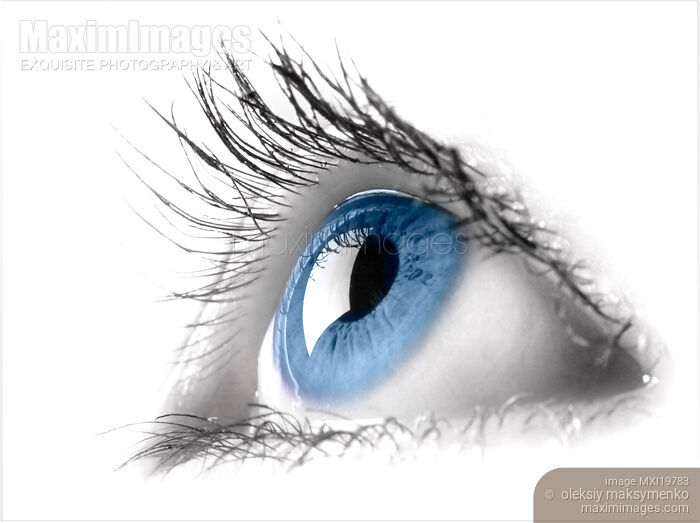 Stock photo of Blue eye closeup Buy commercial use license at MaximImages