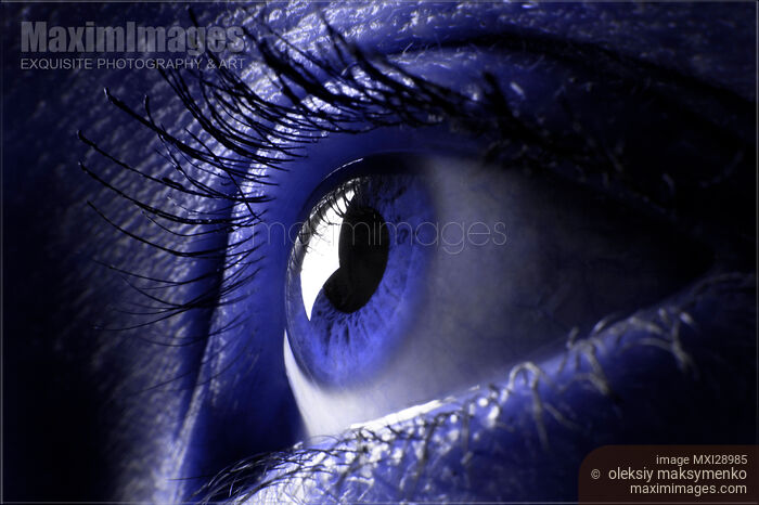 Stock photo of Blue Female Eye Buy commercial use license at MaximImages