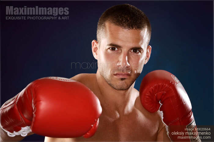 Stock photo of Boxer portrait Buy commercial use license at MaximImages