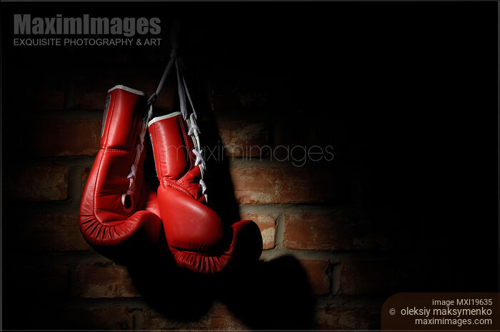 Boxing Gloves Stock photo of Boxing Gloves Buy commercial use license at MaximImages