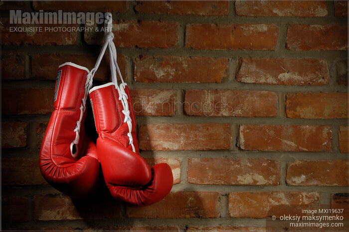Boxing Gloves Stock photo of Boxing Gloves Buy commercial use license at MaximImages