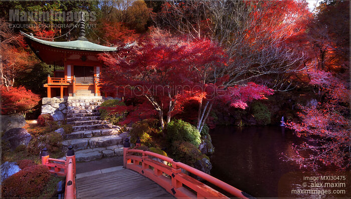 Bridge to Bentendo Hall over a pond with Zen garden at Daigo-ji temple in autumn scenery Daigoji complex Kyoto Japan Stock photo of Bridge to Bentendo Hall over a pond with Zen garden at Daigo-ji temple in autumn scenery Daigoji complex Kyoto Japan Buy commercial use license at MaximImages