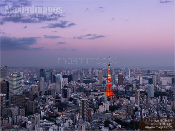 Stock photo of Bright red Tokyo Tower in twilight city scenery Buy commercial use license at MaximImages