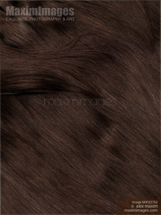 Stock photo of Brown Hair Buy commercial use license at MaximImages