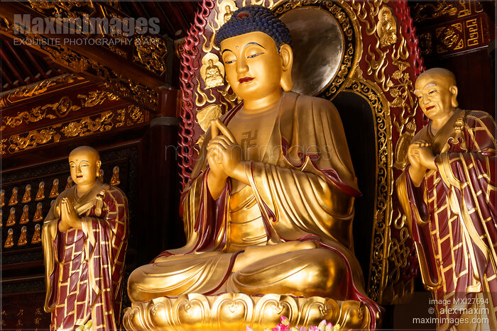 Stock photo of Buddha statue at Big Wild Goose Pagoda in China Buy commercial use license at MaximImages