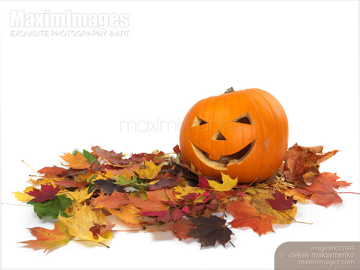 Stock photo of Carved Pumpkin on Fallen Leaves Buy commercial use license at MaximImages