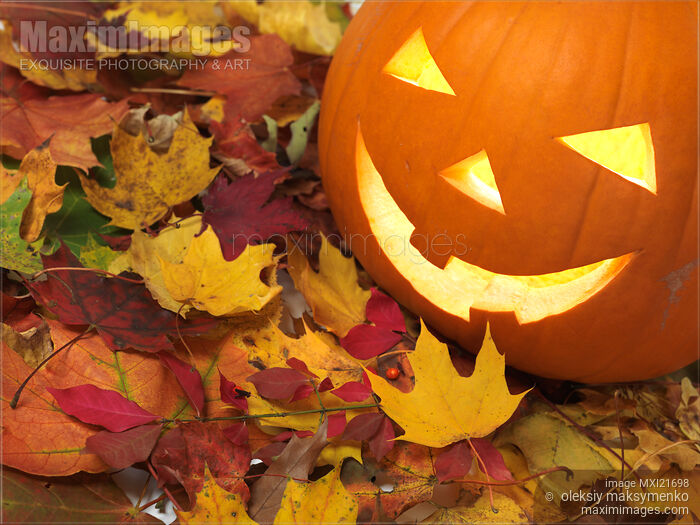 Carved Pumpkin on Fallen Leaves Stock photo of Carved Pumpkin on Fallen Leaves Buy commercial use license at MaximImages