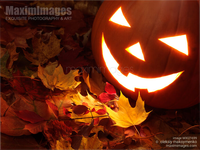 Stock photo of Carved Pumpkin on Fallen Leaves Buy commercial use license at MaximImages