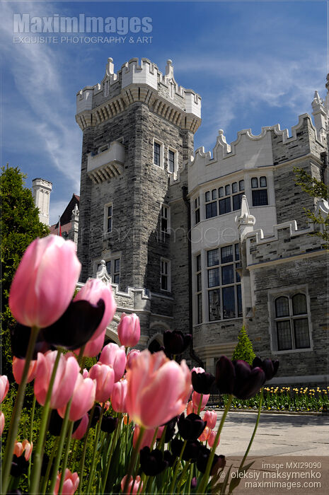 Stock photo of Casa Loma Castle Buy commercial use license at MaximImages