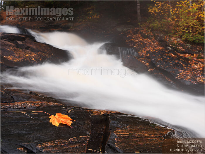 Stock photo of Cascade Waterfall Fall Nature Scenery Buy commercial use license at MaximImages