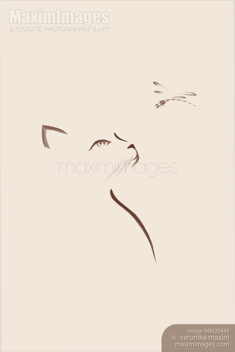 Stock image of Cat looking up at a dragonfly Japanese Zen illustration design on beige Buy commercial use license at MaximImages