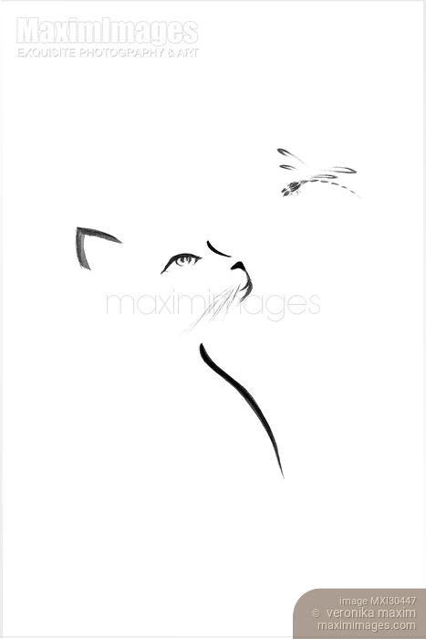Stock image of Cat looking up at a dragonfly Japanese Zen illustration design on white Buy commercial use license at MaximImages