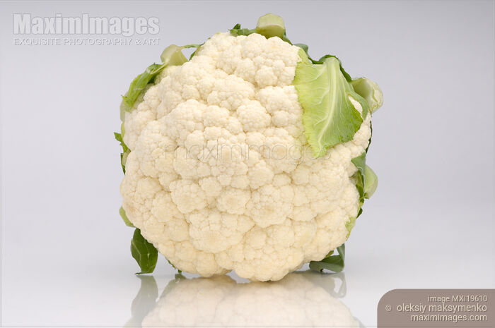 Stock photo of Cauliflower Buy commercial use license at MaximImages