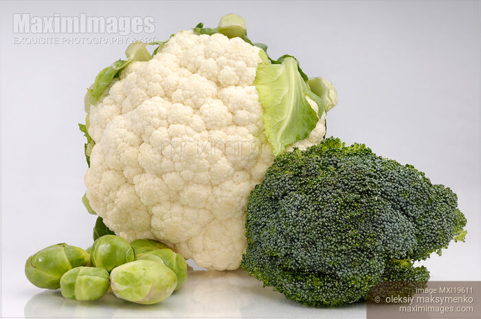 Cauliflower Broccoli and Brussels Sprouts Stock photo of Cauliflower Broccoli and Brussels Sprouts Buy commercial use license at MaximImages