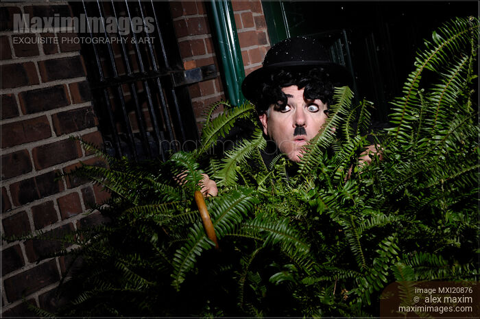 Stock photo of Charlie Chaplin Private Detective Buy commercial use license at MaximImages