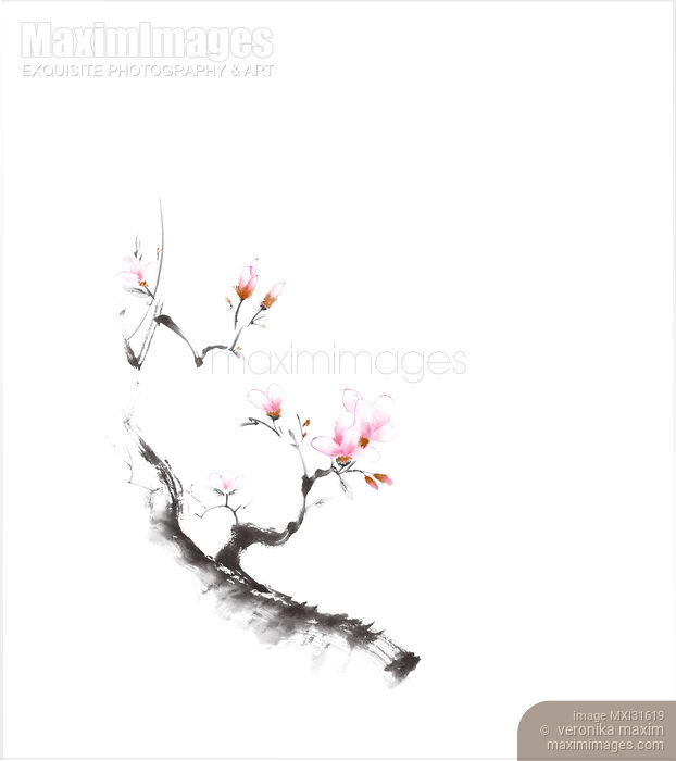Stock image of Charming sumi-e illustration of a budding sakura branch with gentle pink flowers Buy commercial use license at MaximImages
