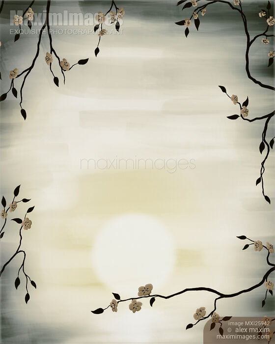 Stock image of Cherry Blossom over sunrise sun Buy commercial use license at MaximImages