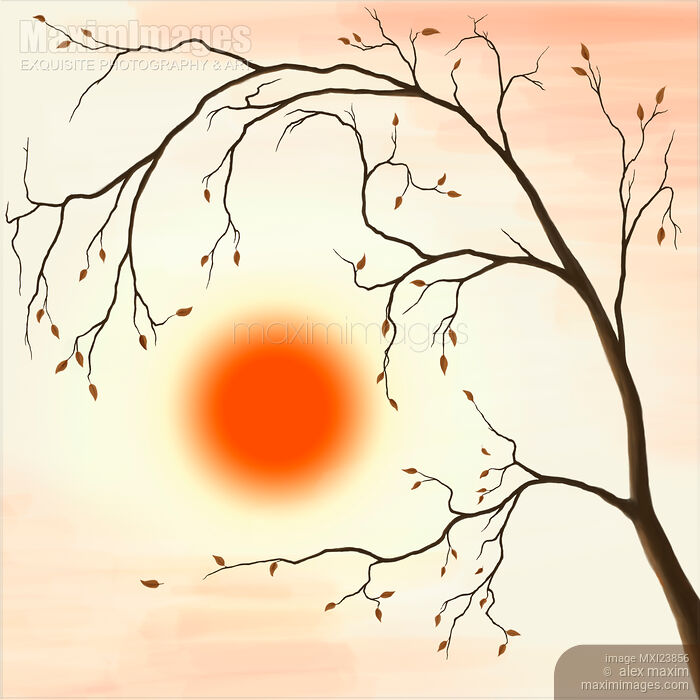 Stock image of Cherry Tree in Fall Buy commercial use license at MaximImages