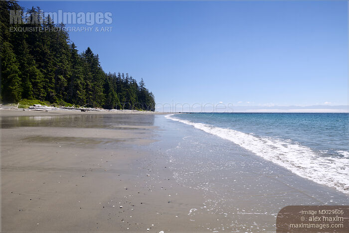 Stock photo of China Beach sandy shores Juan de Fuca Vancouver island Buy commercial use license at MaximImages