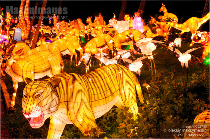 Stock photo of Chinese Lantern Festival Buy commercial use license at MaximImages