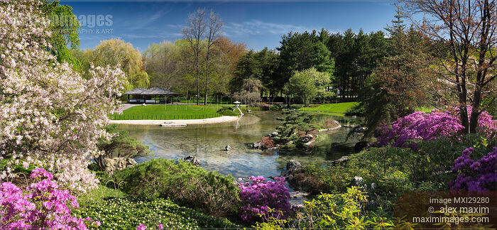 Stock photo of Chinese temple and Zen garden at Montreal Botanical Garden Buy commercial use license at MaximImages