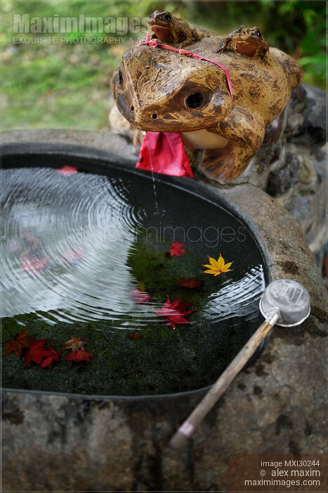 Stock photo of Chozubachi cleansing water basin at Fuku Kaeru Frog shrine in Kyoto Japan Buy commercial use license at MaximImages