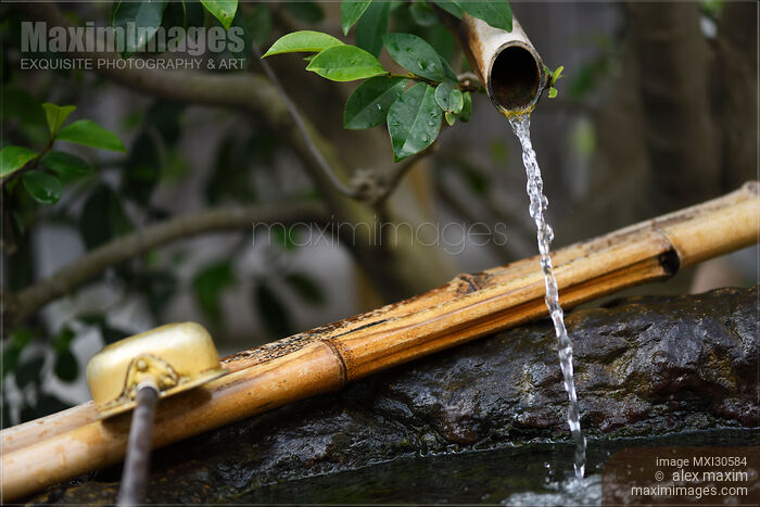 Chozubachi, water cleansing ritual basin with bamboo elements depicting Japanese Wabi-Sabi philosophy Stock photo of Chozubachi, water cleansing ritual basin with bamboo elements depicting Japanese Wabi-Sabi philosophy Buy commercial use license at MaximImages
