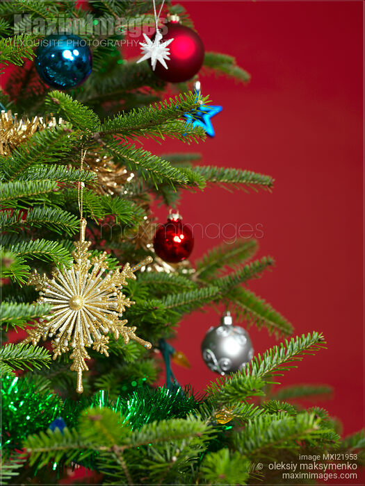 Stock photo of Christmas Decoration Buy commercial use license at MaximImages