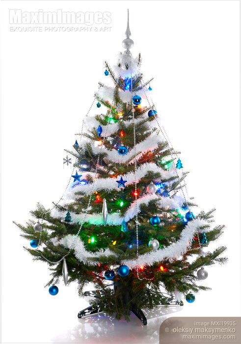 Stock photo of Christmas Tree Buy commercial use license at MaximImages