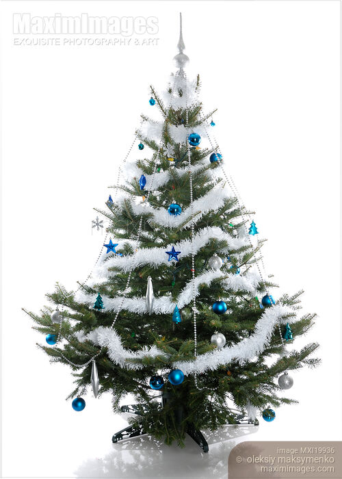 Stock photo of Christmas Tree Buy commercial use license at MaximImages