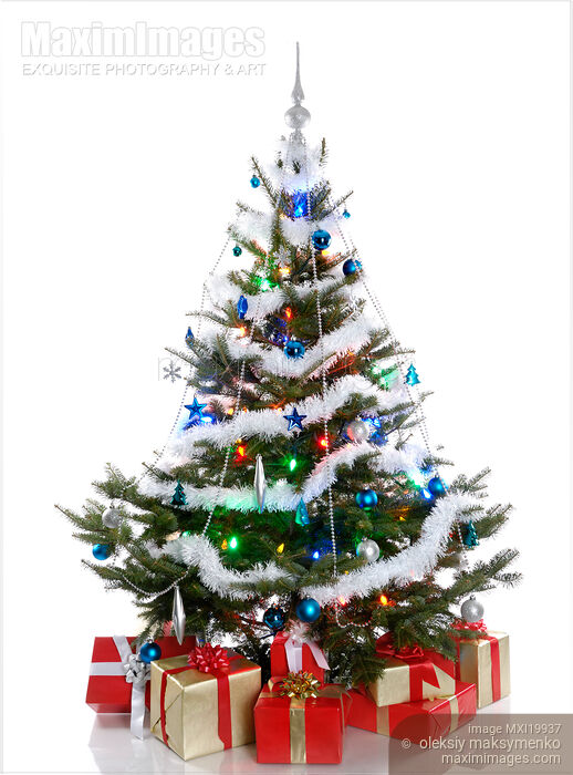 Christmas Tree Stock photo of Christmas Tree Buy commercial use license at MaximImages