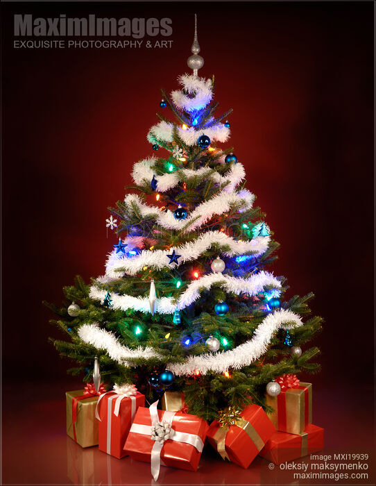 Stock photo of Christmas Tree Buy commercial use license at MaximImages