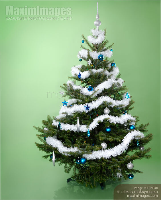 Stock photo of Christmas Tree Buy commercial use license at MaximImages