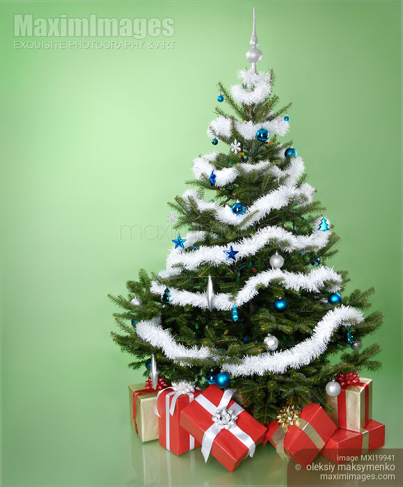 Christmas Tree Stock photo of Christmas Tree Buy commercial use license at MaximImages