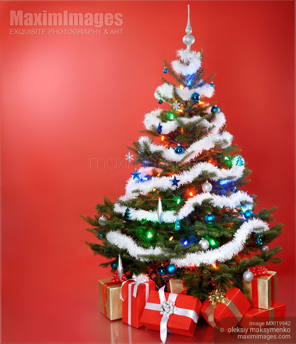 Stock photo of Christmas Tree Buy commercial use license at MaximImages