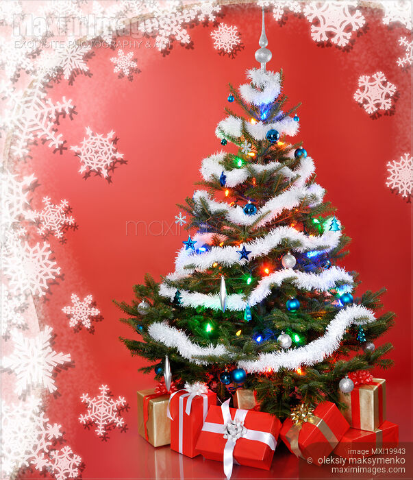Stock image of Christmas Tree Buy commercial use license at MaximImages