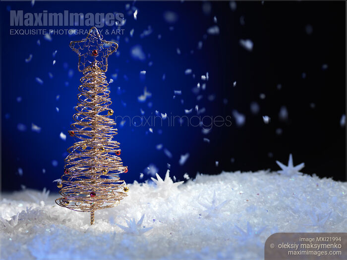 Christmas Tree Stock photo of Christmas Tree Buy commercial use license at MaximImages