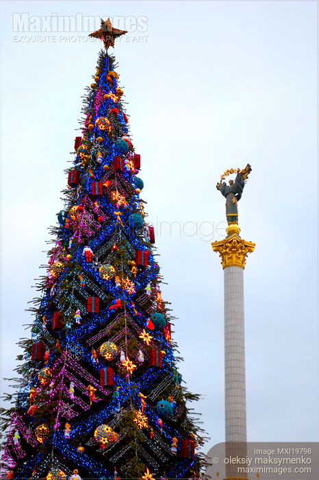 Stock photo of Christmas Tree in Kiev Ukraine Buy commercial use license at MaximImages