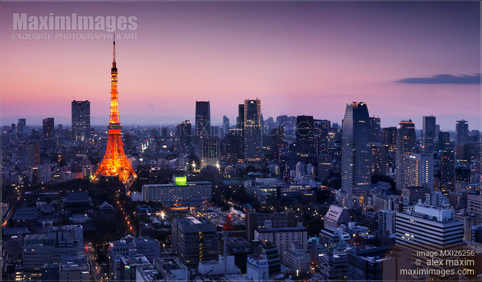 Stock photo of City panorama with Tokyo tower illuminated in twilight Buy commercial use license at MaximImages