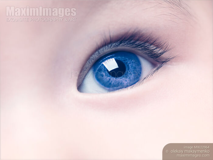 Stock photo of Closeup of a Baby's Blue Eye Buy commercial use license at MaximImages