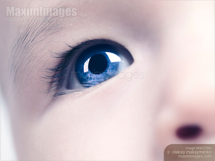 Stock photo of Closeup of a Baby's Blue Eye Buy commercial use license at MaximImages