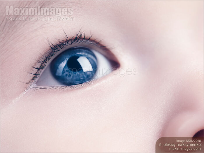 Stock photo of Closeup of a Baby's Blue Eye Buy commercial use license at MaximImages